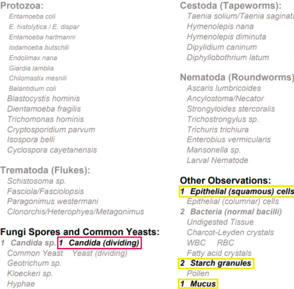 Gut Parasites Test Results