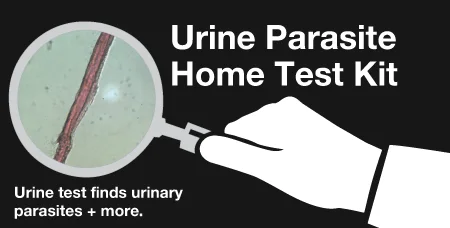 picture of the urine parasite test product