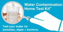 picture of the water parasite bacteria algae diy home test product