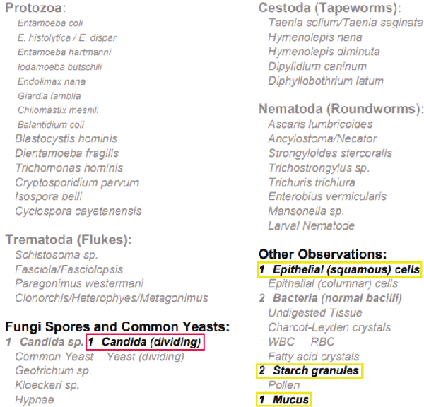 evan's parasite and candida test results