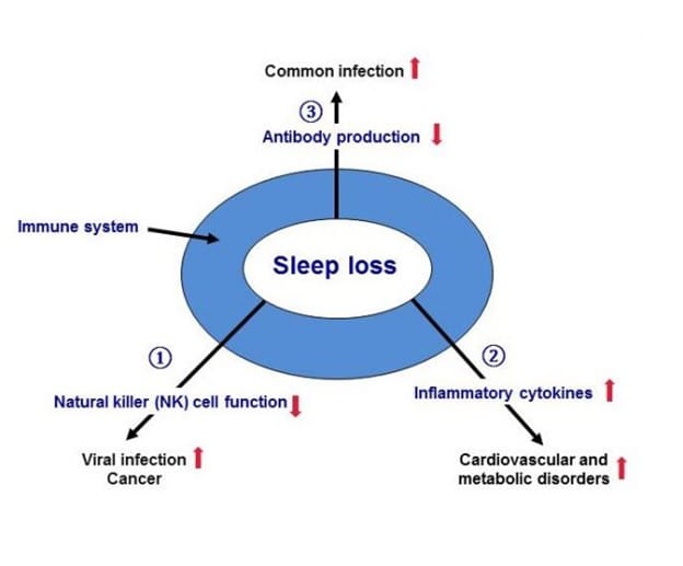 a graphic from the CDC showing the symptoms of sleep loss